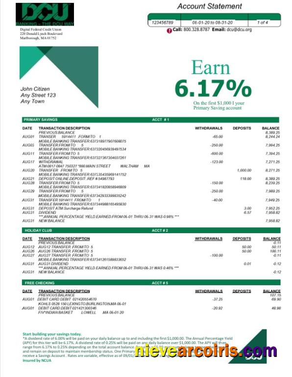 USA DCU bank statement Word and PDF, 5 pages